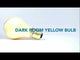 Light Safe Darkroom Bulb - Yellow (2 pack)